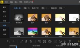 经典视频爆料软件,功能解析与使用技巧